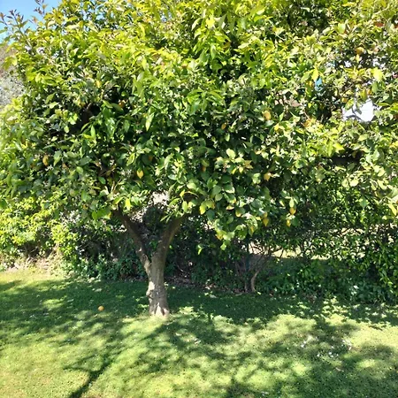 Villa Vicino Al Mare *