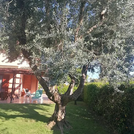 Villa Vicino Al Mare Palidoro