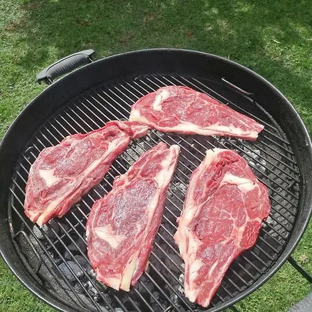 Vicino Al Mare * Palidoro